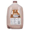 Lucerne Partly Skimmed Chocolate Milk 0.8% M.F. 4L