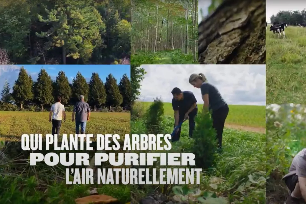 Quel est l'impact de l'azote sur notre nature ? - Notre Nature