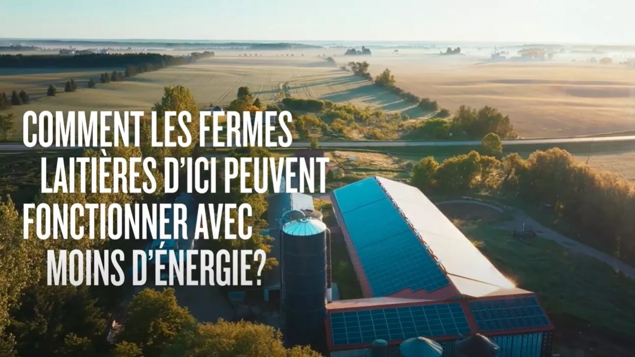 Image de la vidéo: Fermes laitières et moins d'énergie