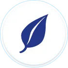Environment icon
